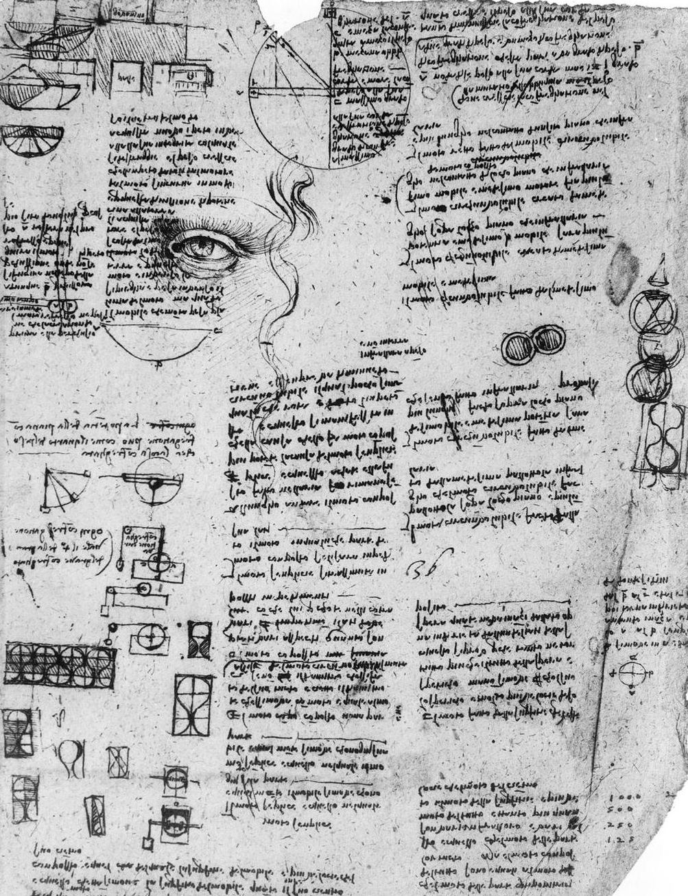 A page of Leonardo da Vinci's notebook, crowded with sketches and notes